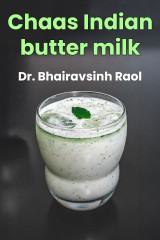 Dr. Bhairavsinh Raol profile