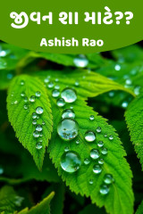 Ashish Rao profile