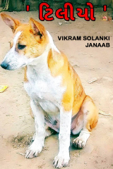 VIKRAM SOLANKI JANAAB profile