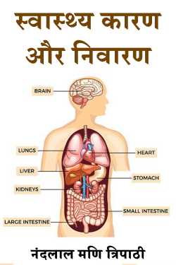 स्वास्थ्य कारण और निवारण by नंदलाल मणि त्रिपाठी in Hindi