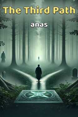 The Third Path by anas