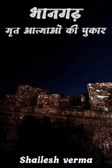 Shailesh verma profile