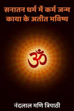 सनातन धर्म में कर्म जन्म काया के अतीत भविष्य by नंदलाल मणि त्रिपाठी in Hindi