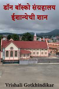 डॉन बॉस्को संग्रहालय ईशान्येची शान