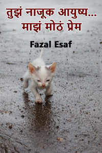 तुझं नाजूक आयुष्य... माझं मोठं प्रेम