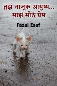 तुझं नाजूक आयुष्य... माझं मोठं प्रेम