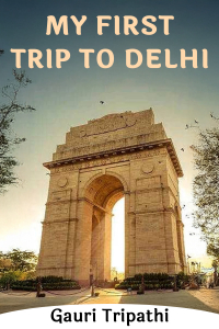 MY FIRST TRIP TO DELHI