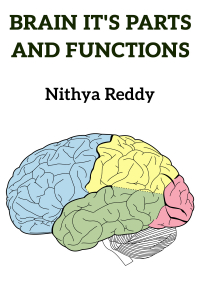 BRAIN IT&#39;S PARTS AND FUNCTIONS