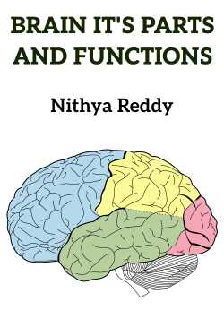 BRAIN IT&#39;S PARTS AND FUNCTIONS by Nithya Reddy in English