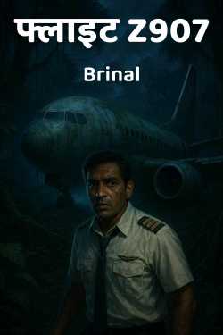 फ्लाइट Z907 by Brinal in Marathi