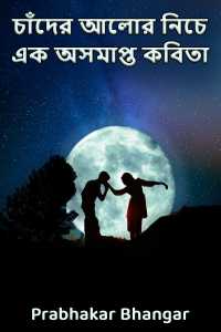 চাঁদের আলোর নিচে এক অসমাপ্ত কবিতা
