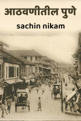 sachin nikam profile