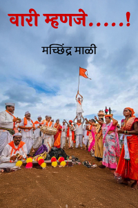 वारी म्हणजे.....!