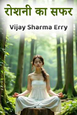 रोशनी का सफर by Vijay Sharma Erry in Hindi