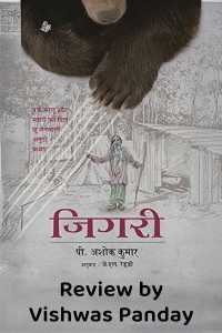 समीक्षा : उपन्यास जिगरी by पी अशोक कुमार
