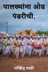 मच्छिंद्र माळी profile