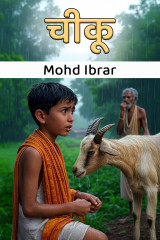 Mohd Ibrar profile
