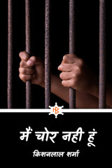 मैं चोर नही हूं by किशनलाल शर्मा in Hindi