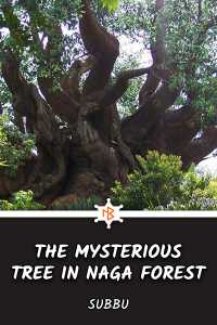 The Mysterious Tree in Naga Forest