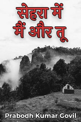 सेहरा में मैं और तू by Prabodh Kumar Govil in Hindi