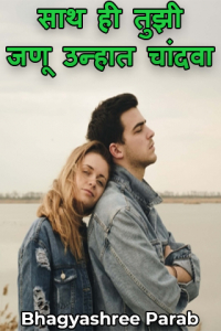 साथ ही तुझी जणू उन्हात चांदवा - 13