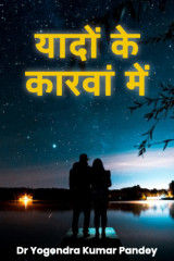 यादों के कारवां में by Dr Yogendra Kumar Pandey in Hindi