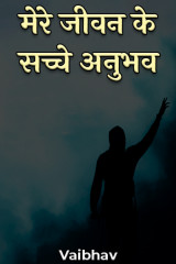 मेरे जीवन के सच्चे अनुभव by Vaibhaav Bhardwaaj in Hindi