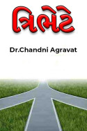 Dr.Chandni Agravat દ્વારા ત્રિભેટે - 13 ગુજરાતીમાં