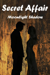 Secret Affair by Moonlight Shadow in English