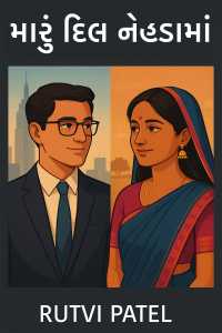 મારું દિલ નેહડામાં