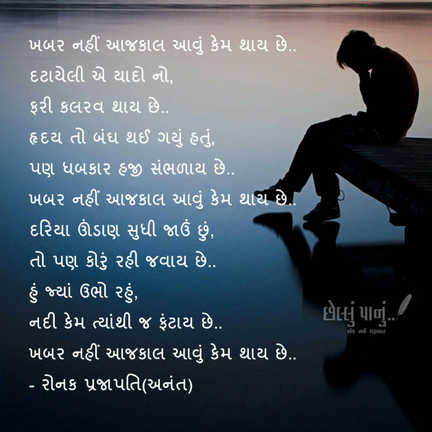 Gujarati Shayri by Ronak prajapati : 2777