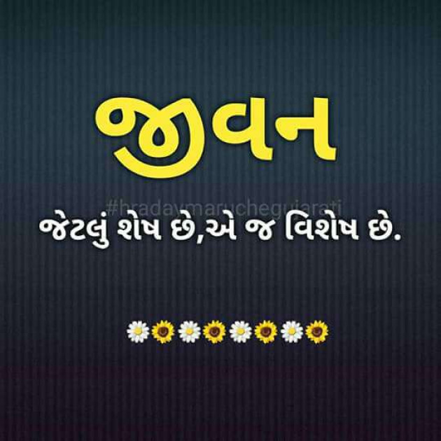 Gujarati Hiku by Nirali manoj Pujara : 3296