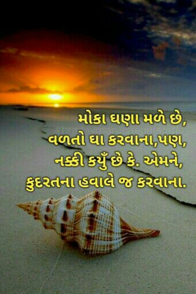 Gujarati Quotes by nikita jignesh patel : 4470