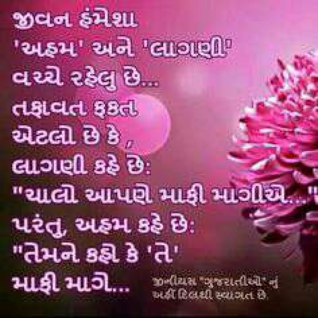 Gujarati Whatsapp-Status by Afsana : 5903