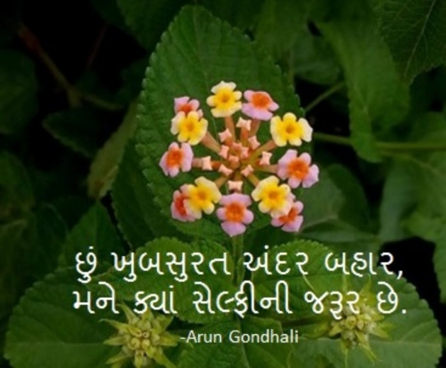 Gujarati Hiku by ARUN AMBER GONDHALI : 8086