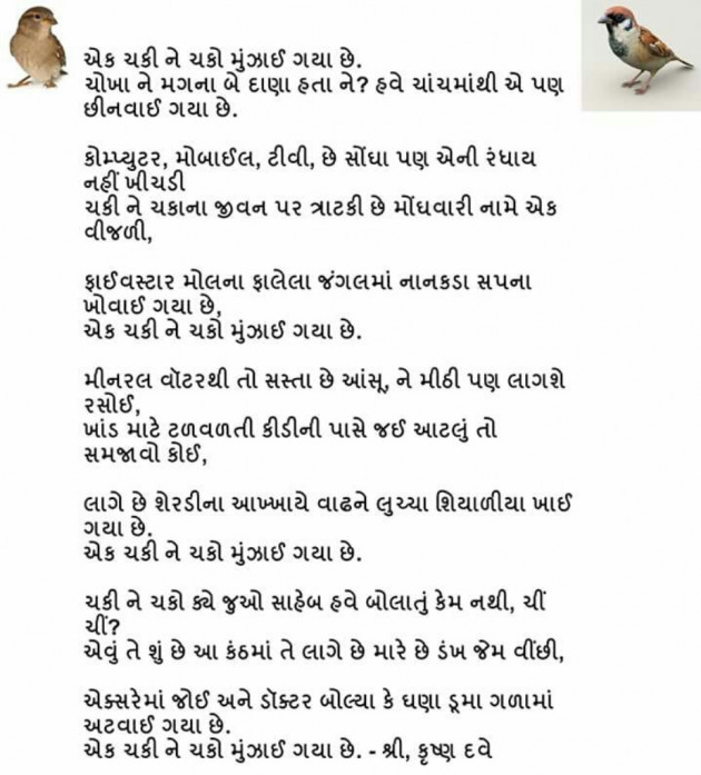 Gujarati Shayri by Chudasama Ruturajsinh : 10884