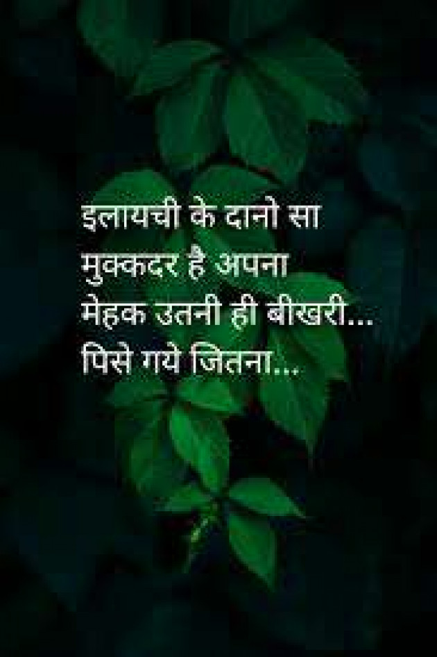 Hindi Quotes by jagruti rathod : 12448