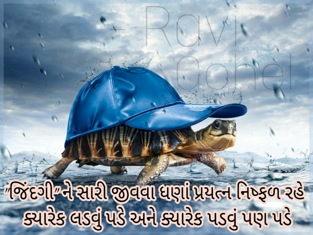 Gujarati Whatsapp-Status by Ravi Gohel : 12723