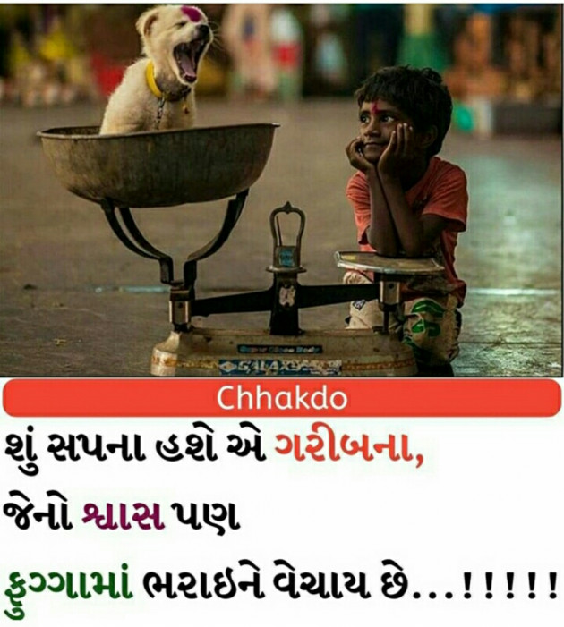 Gujarati Whatsapp-Status by parth : 15277