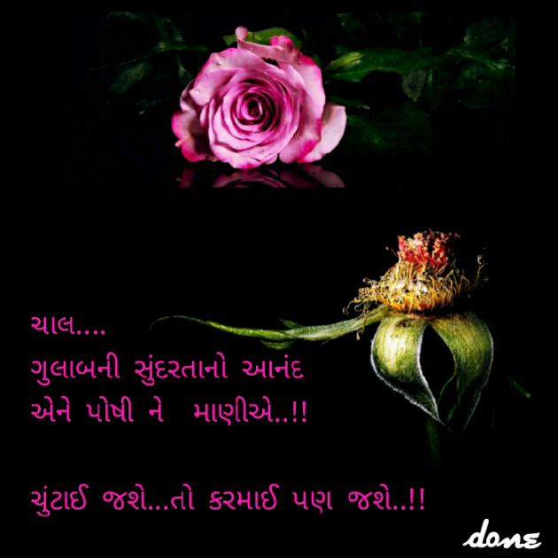 Gujarati Quotes by Deepak D.one : 17217