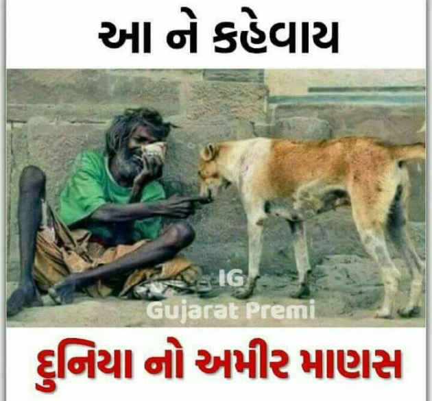 Gujarati Whatsapp-Status by Parth : 50068740