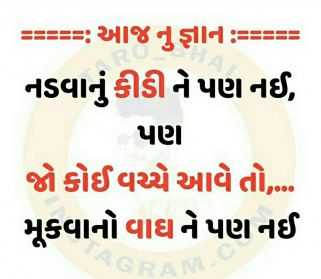 Gujarati Whatsapp-Status by Parth : 64289835