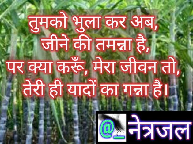 Hindi Quotes by Siddhi Nathavani : 111016574