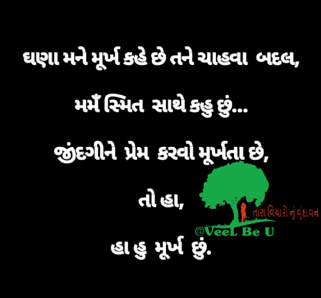 Gujarati Shayri by VeeL Patel : 111019914