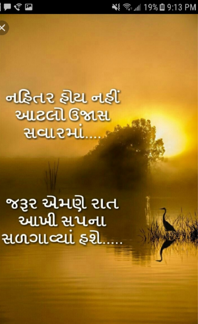 Gujarati Quotes by Nita Mistry : 111021779