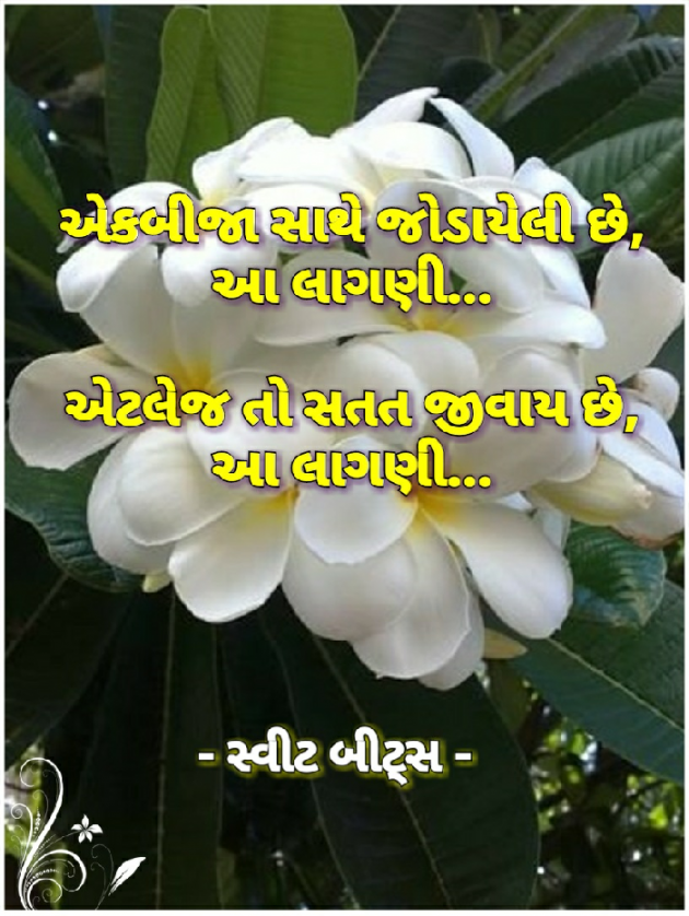 Gujarati Quotes by ધબકાર... : 111022007