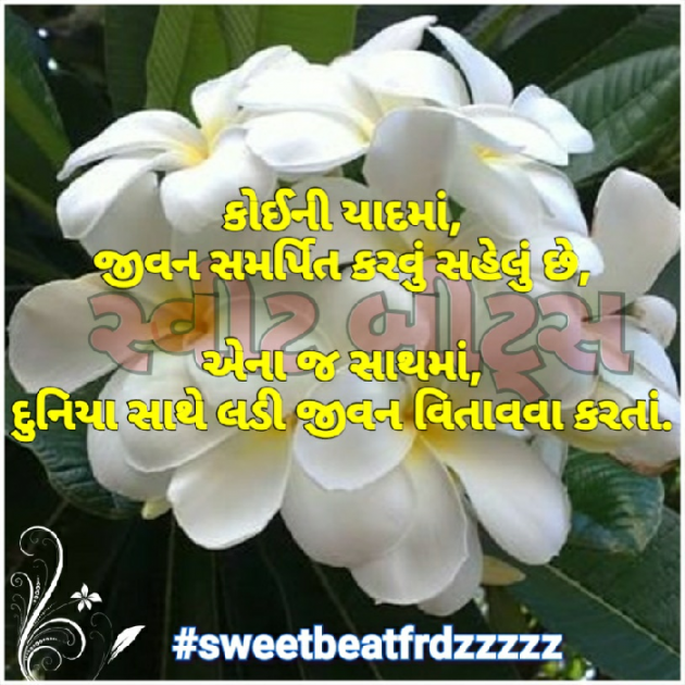 Gujarati Quotes by ધબકાર... : 111022087