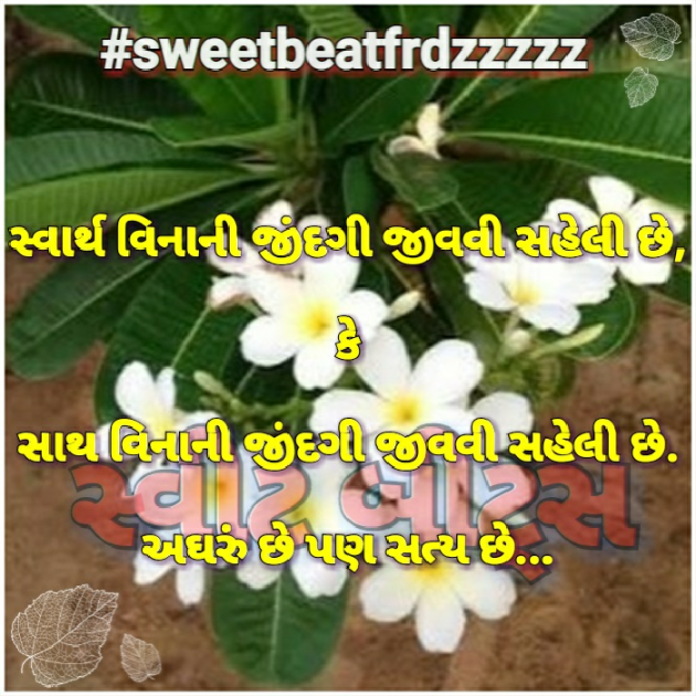 Gujarati Quotes by ધબકાર... : 111022088