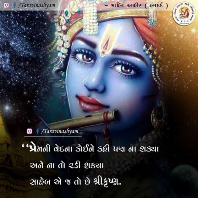 Gujarati Shayri by Umesh Donga : 111023626