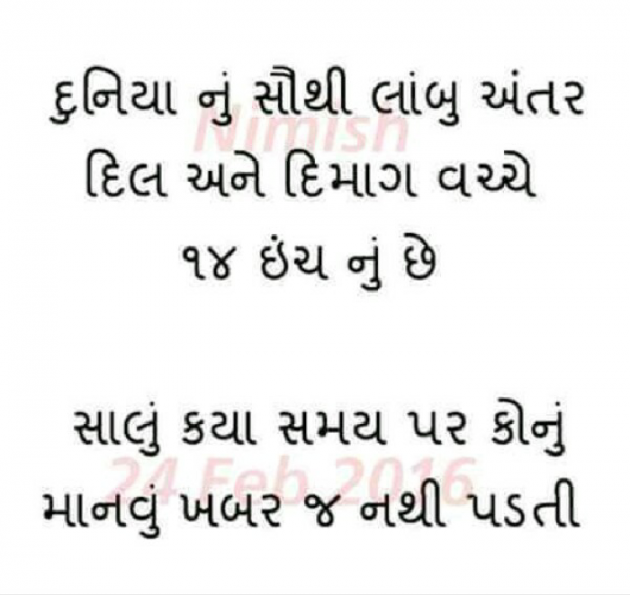 Gujarati Shayri by Heer Ahir : 111023632